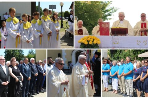 MixCollage-13-Jul-2025-01-15-PM-1146 MixCollage-13-Jul-2025-01-15-PM-1146