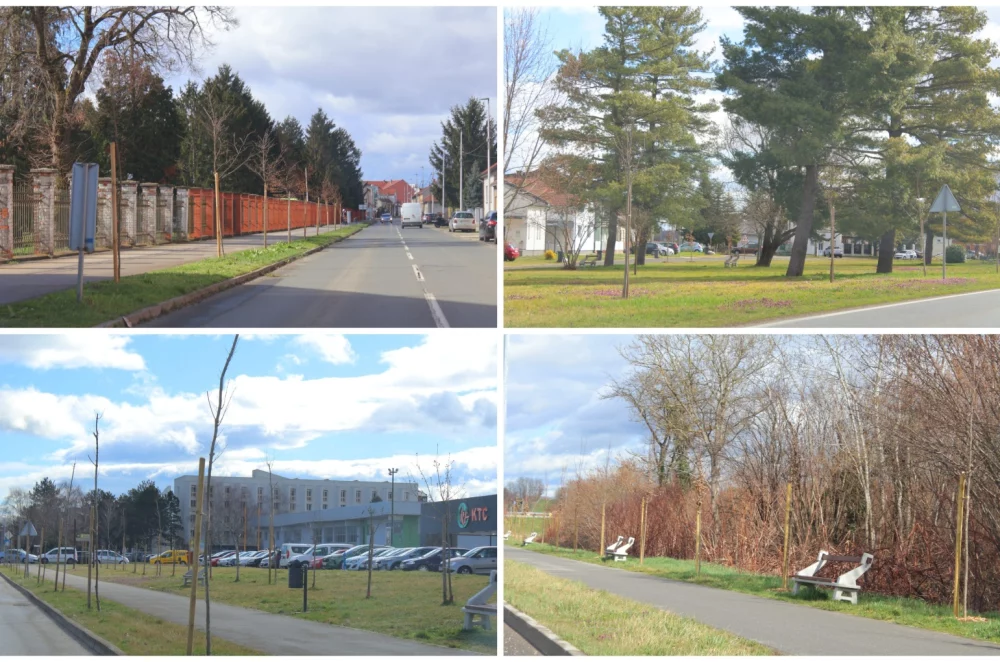 Grad Čakovec, tisuću stabala