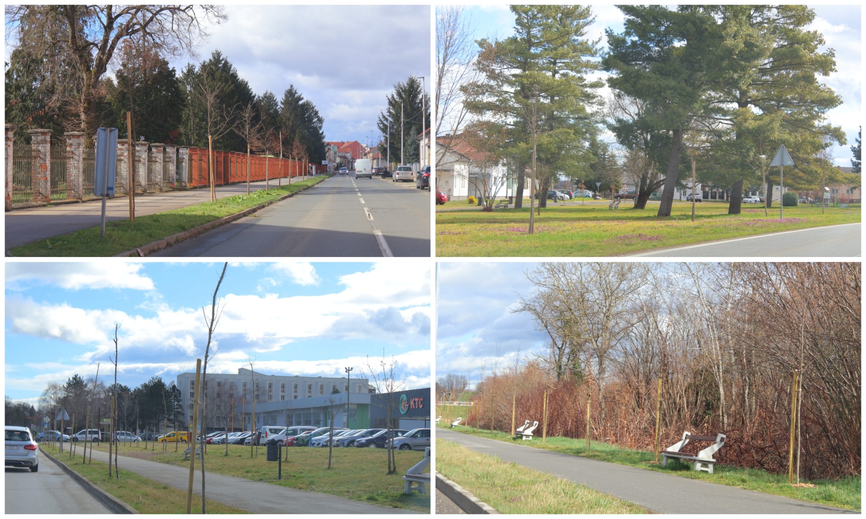 Grad Čakovec, tisuću stabala Grad Čakovec, tisuću stabala