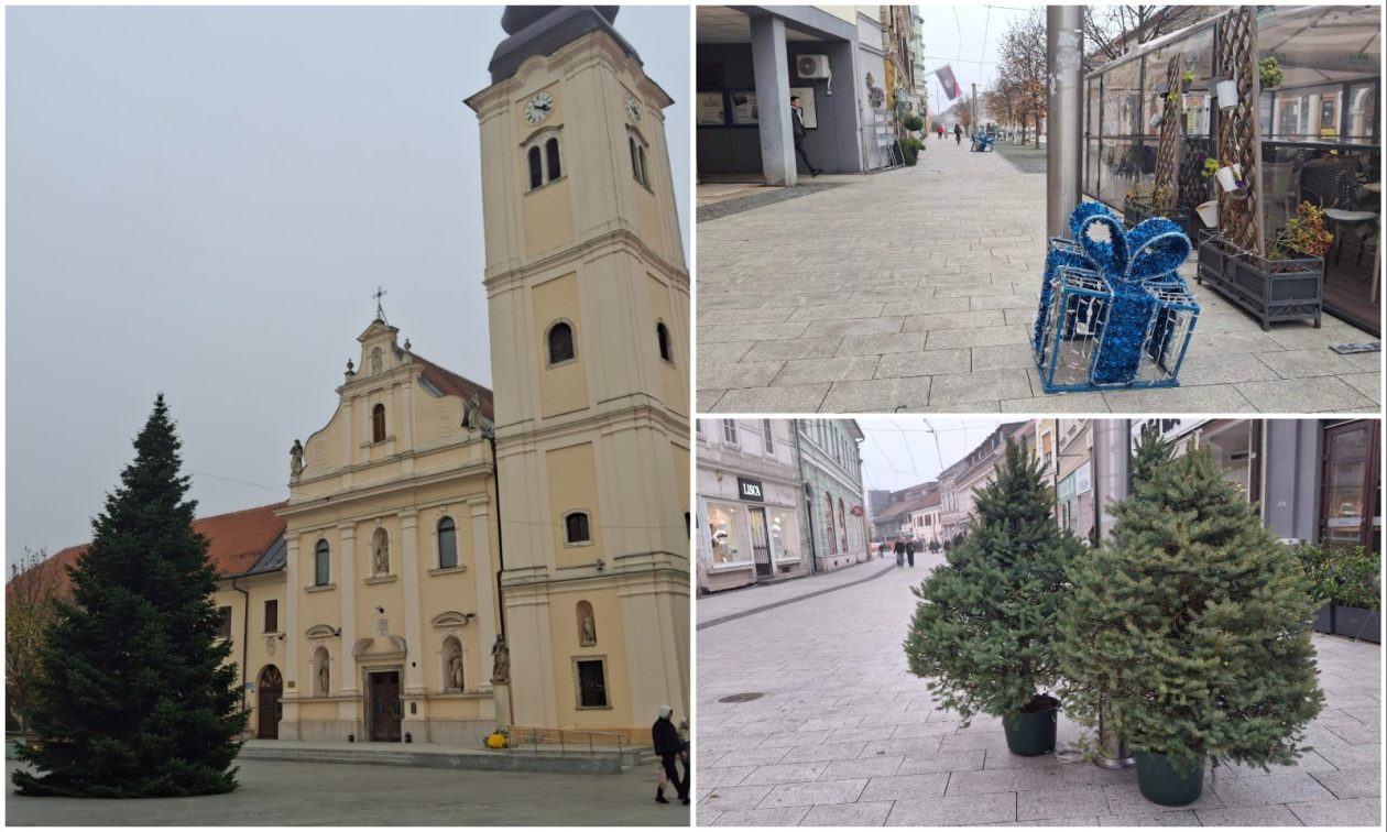 MixCollage-13-Nov-2025-03-32-PM-8109