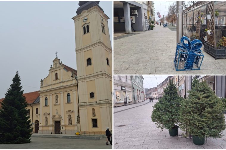 MixCollage-13-Nov-2025-03-32-PM-8109