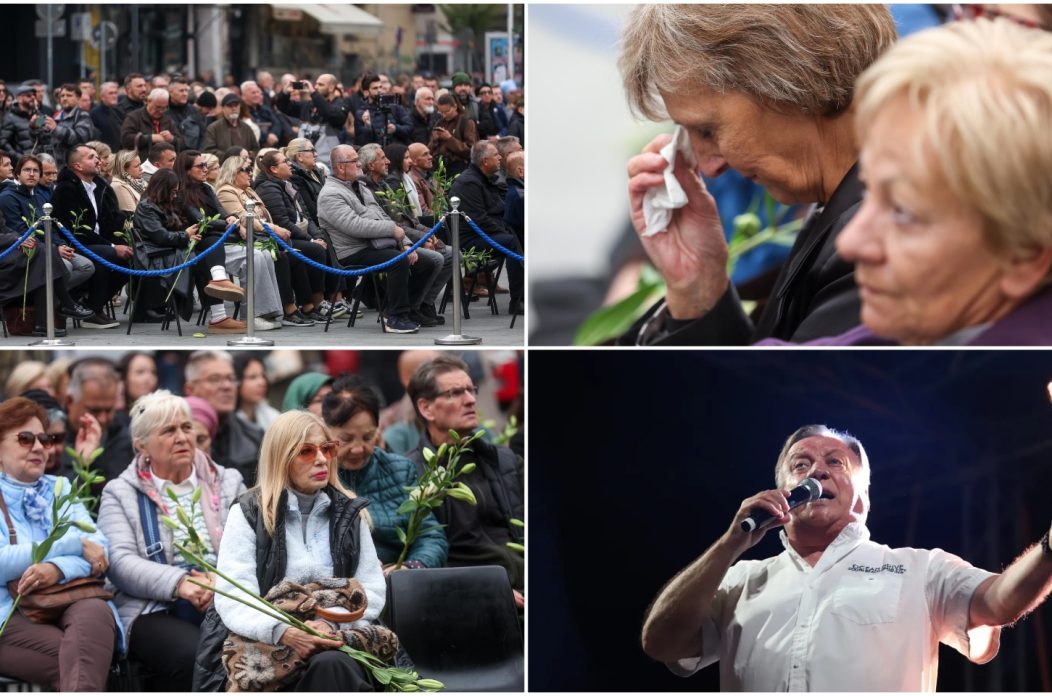 MixCollage-13-Oct-2025-12-14-PM-5308