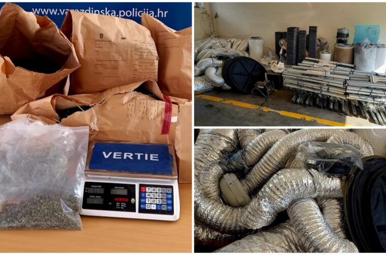 MixCollage-14-Aug-2025-11-15-AM-5809