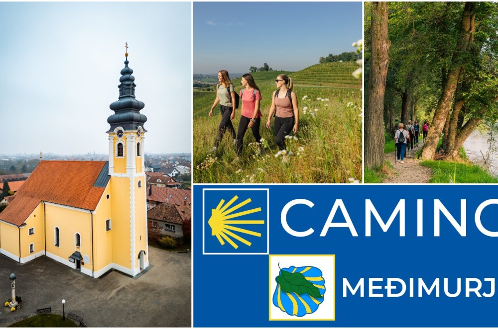 MixCollage-14-Mar-2025-02-14-PM-4905 MixCollage-14-Mar-2025-02-14-PM-4905