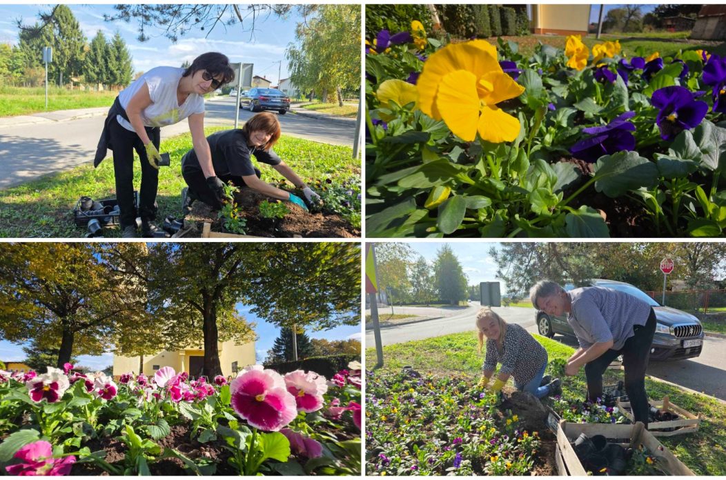 MixCollage-14-Oct-2025-02-00-PM-161 MixCollage-14-Oct-2025-02-00-PM-161