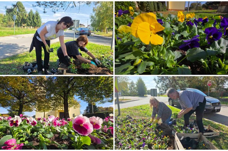 MixCollage-14-Oct-2025-02-00-PM-161