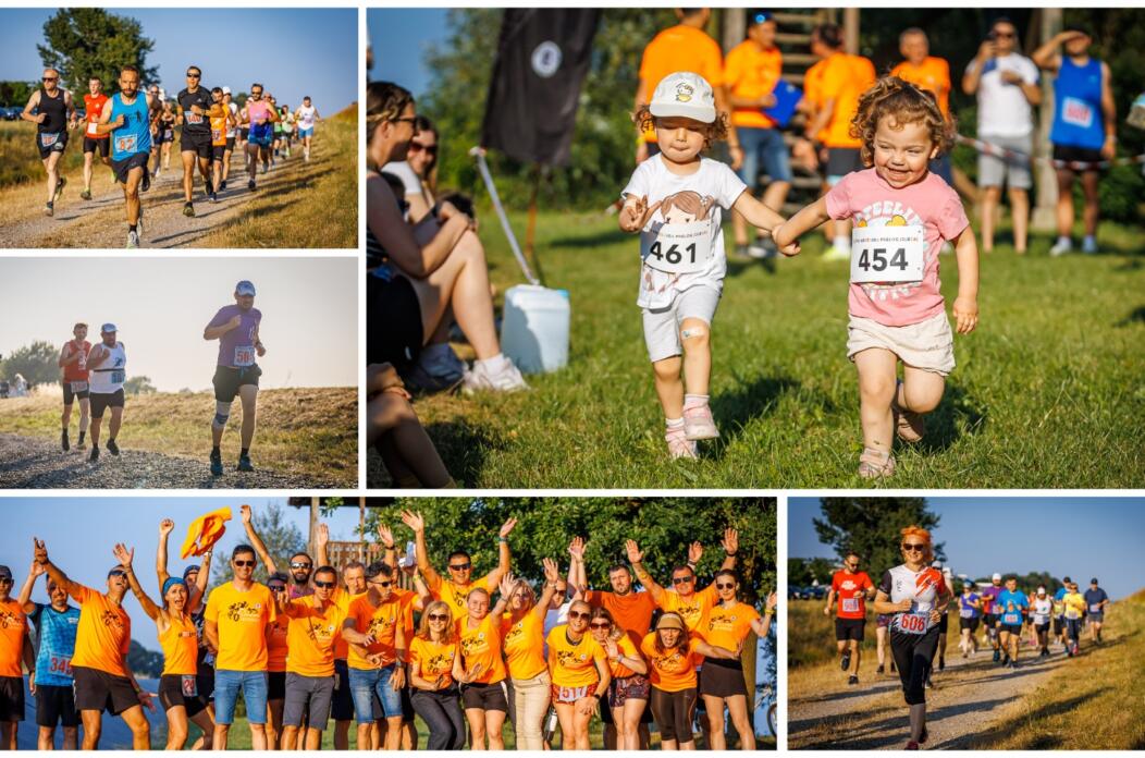 MixCollage-15-Jun-2025-12-46-PM-4425 MixCollage-15-Jun-2025-12-46-PM-4425