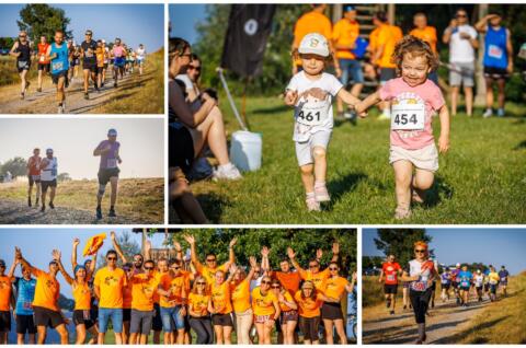 MixCollage-15-Jun-2025-12-46-PM-4425