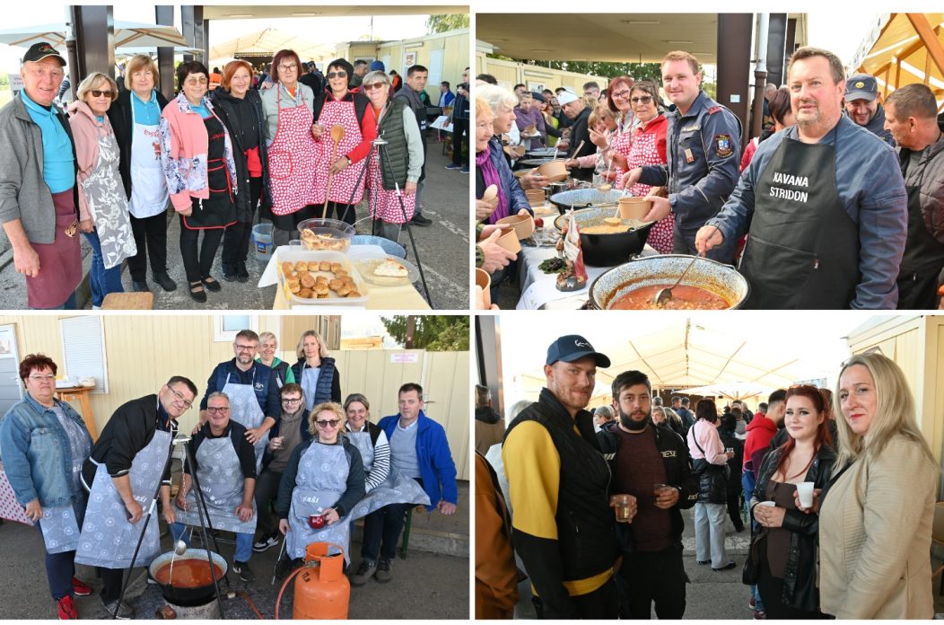 MixCollage-15-Oct-2025-03-50-PM-1903