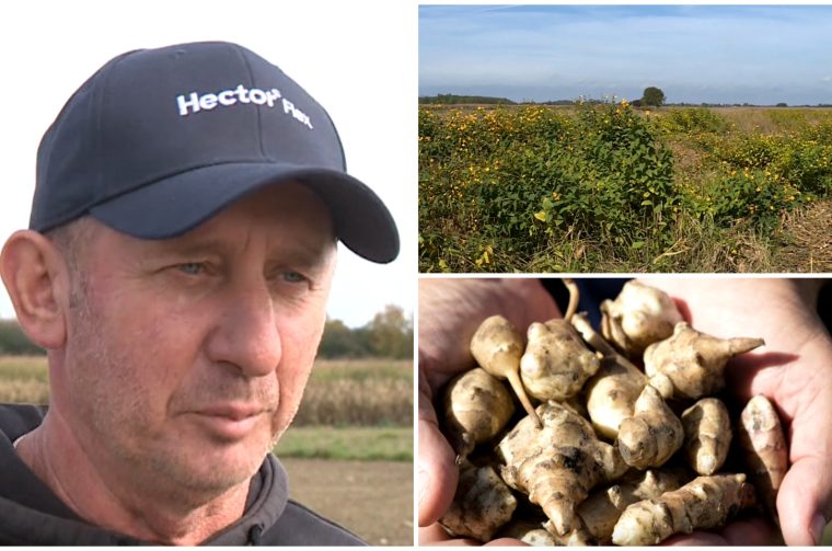 MixCollage-15-Oct-2025-05-34-PM-1547