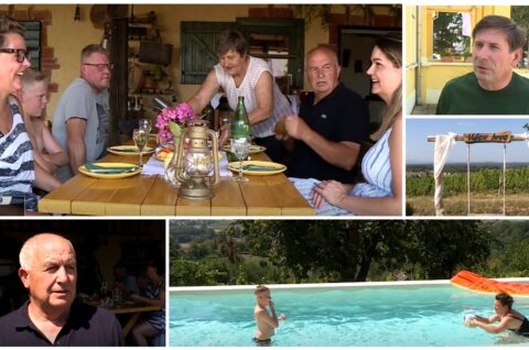 MixCollage-16-Aug-2025-02-27-PM-4855