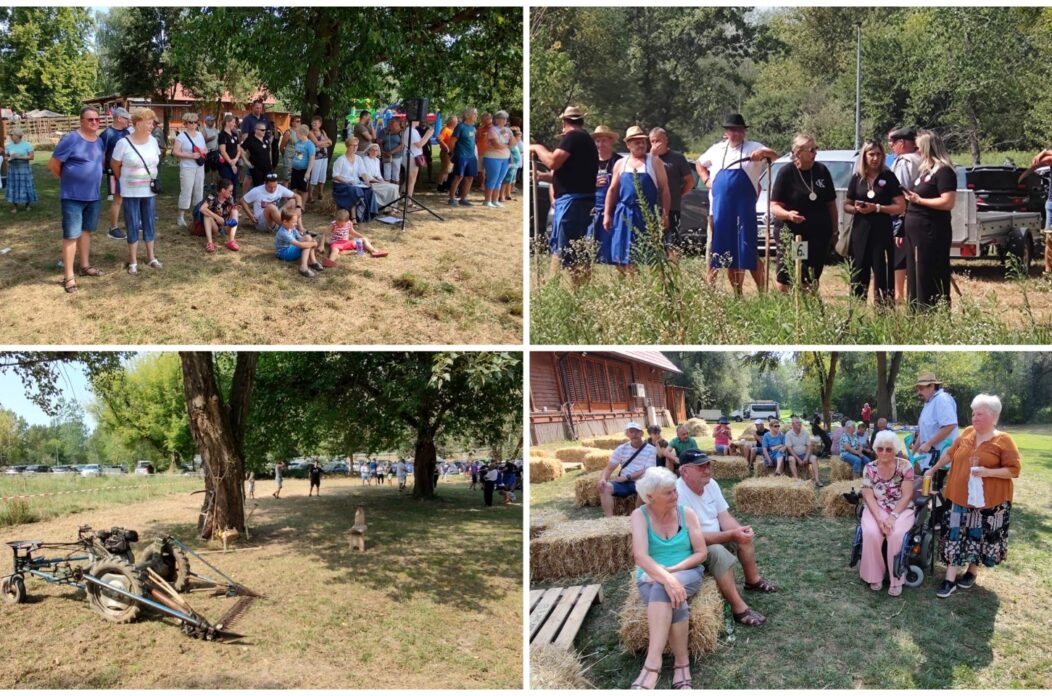 MixCollage-16-Aug-2025-11-32-AM-5268