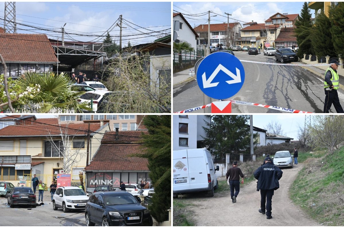 MixCollage-16-Mar-2025-01-30-PM-6293