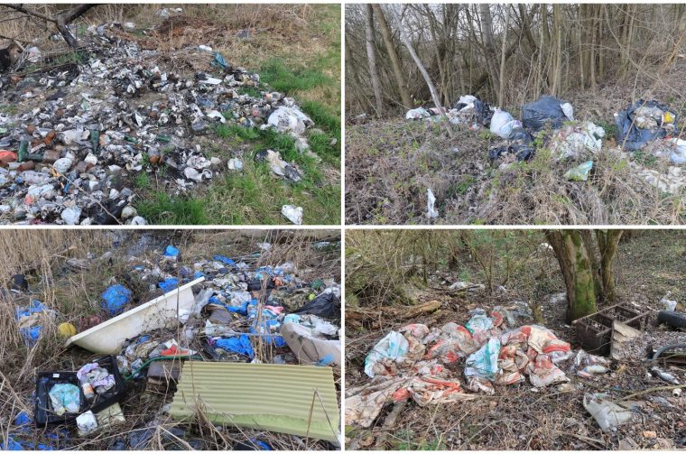 MixCollage-16-Mar-2026-09-10-PM-341 MixCollage-16-Mar-2026-09-10-PM-341