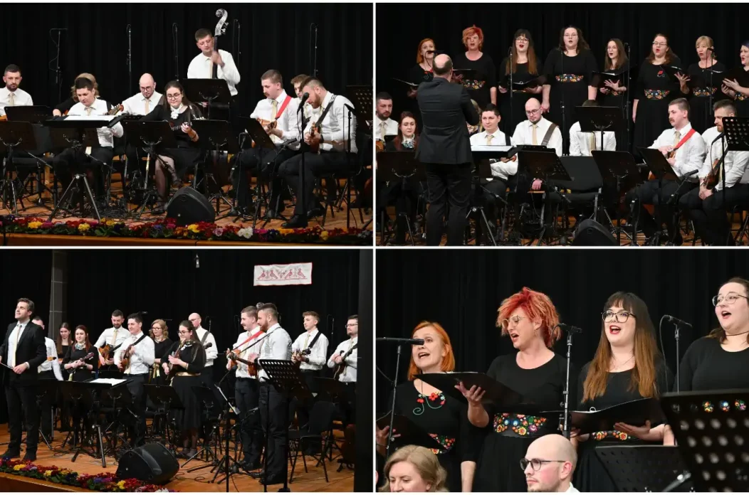 MixCollage-17-Feb-2025-02-42-PM-9668 MixCollage-17-Feb-2025-02-42-PM-9668