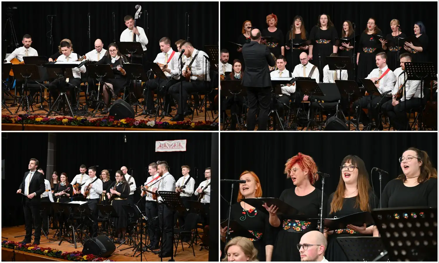 MixCollage-17-Feb-2025-02-42-PM-9668 MixCollage-17-Feb-2025-02-42-PM-9668