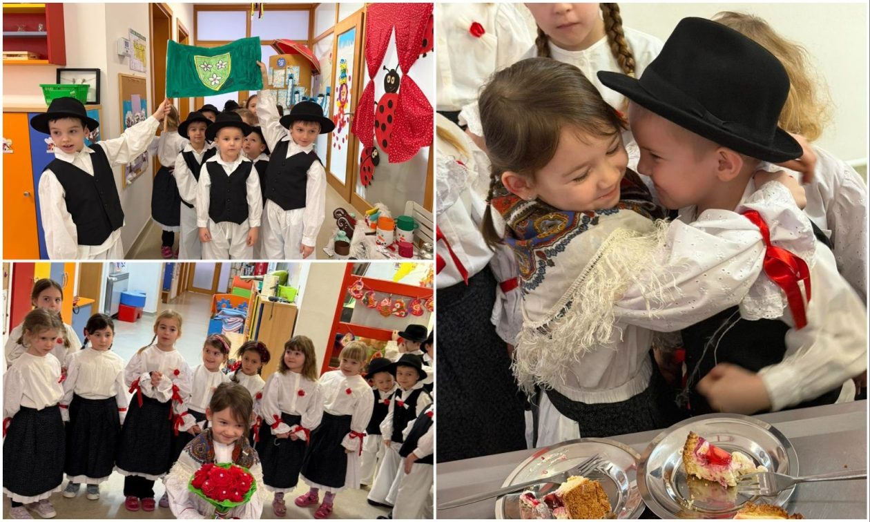 MixCollage-17-Feb-2026-09-54-AM-2859 MixCollage-17-Feb-2026-09-54-AM-2859