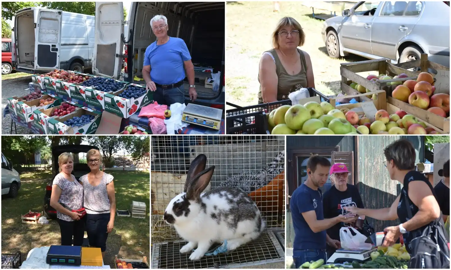 sajam srijedom 17.7.2024.