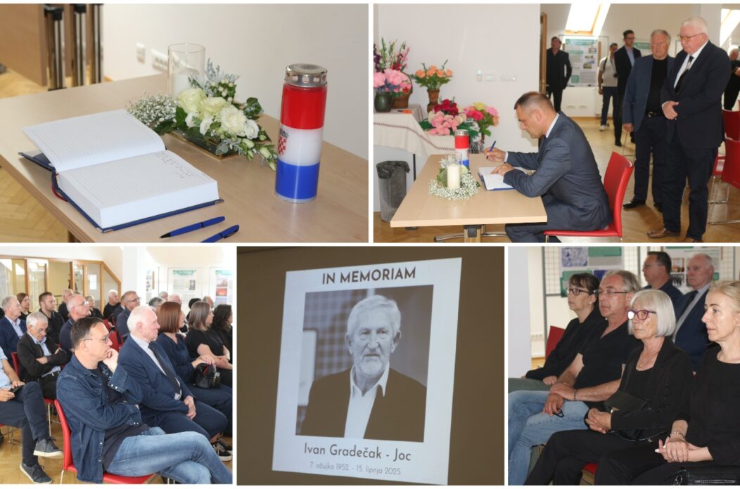 MixCollage-17-Jun-2025-01-53-PM-8528