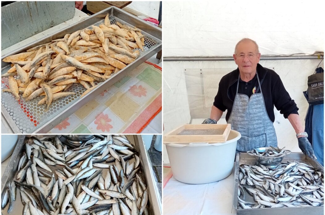 MixCollage-18-Apr-2025-10-56-AM-1183