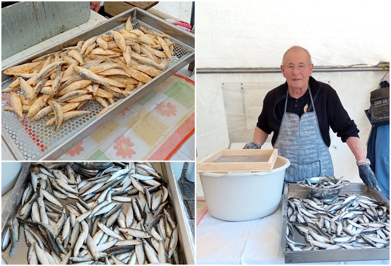 MixCollage-18-Apr-2025-10-56-AM-1183