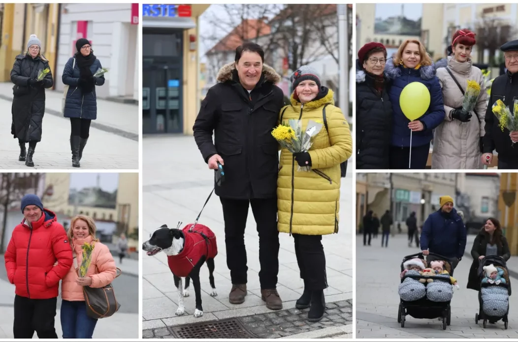 MixCollage-18-Jan-2025-11-13-AM-1034