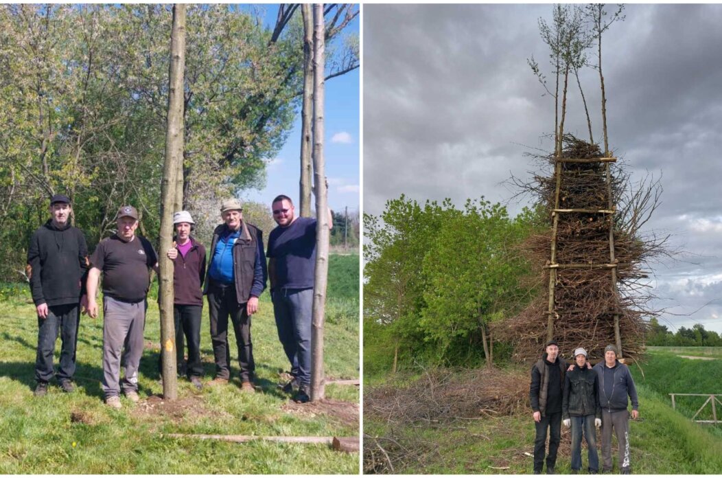 MixCollage-19-Apr-2025-01-13-PM-7128 MixCollage-19-Apr-2025-01-13-PM-7128