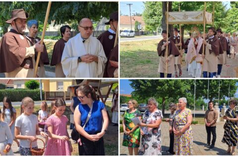 MixCollage-19-Jun-2025-01-35-PM-1743 MixCollage-19-Jun-2025-01-35-PM-1743