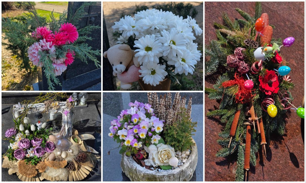 MixCollage-19-Mar-2026-11-56-AM-4430