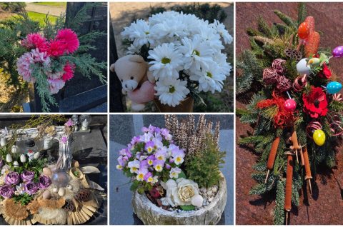 MixCollage-19-Mar-2026-11-56-AM-4430 MixCollage-19-Mar-2026-11-56-AM-4430