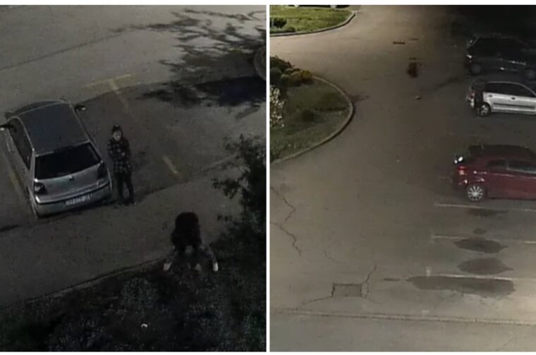 MixCollage-19-May-2025-01-01-PM-280