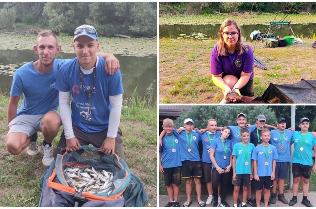 MixCollage-20-Aug-2025-03-11-PM-4391 MixCollage-20-Aug-2025-03-11-PM-4391