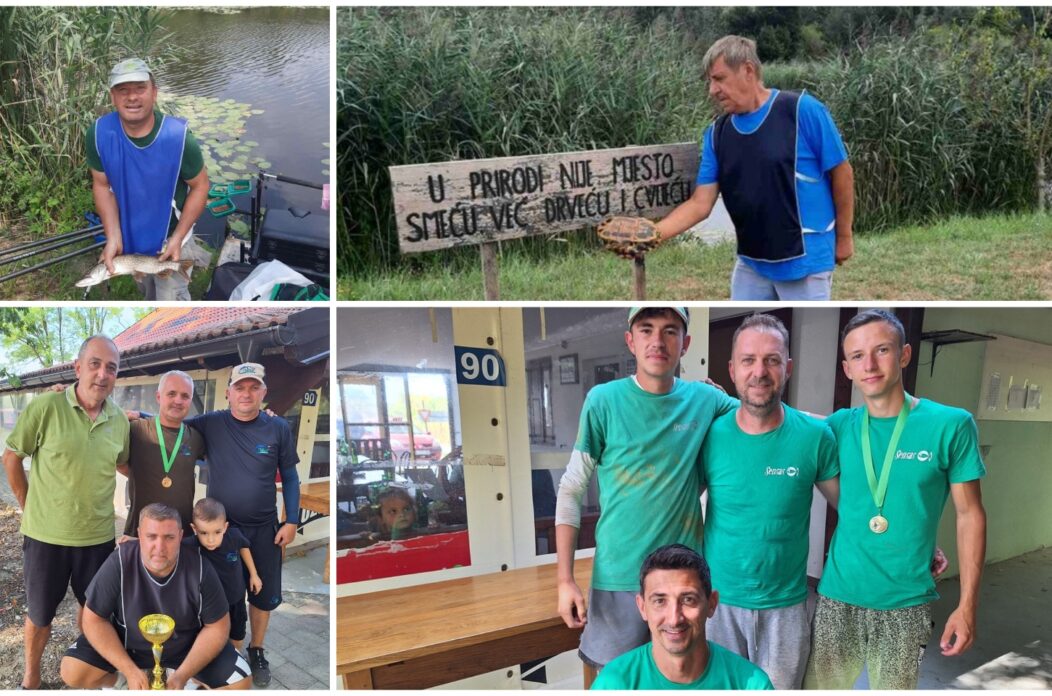 MixCollage-20-Aug-2025-04-00-PM-8057