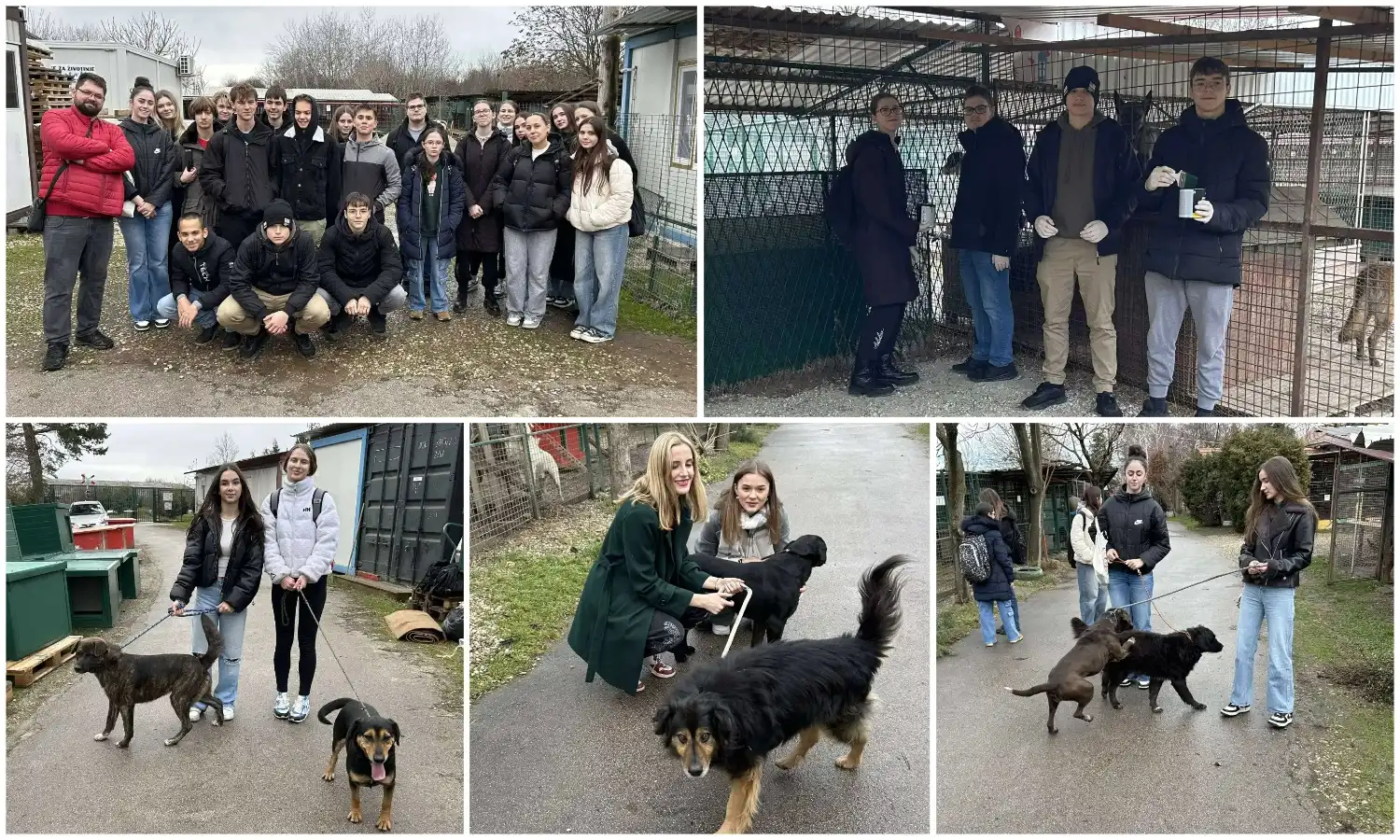 MixCollage-20-Dec-2024-09-30-PM-1700