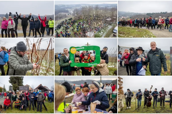 MixCollage-20-Jan-2025-02-13-PM-9499