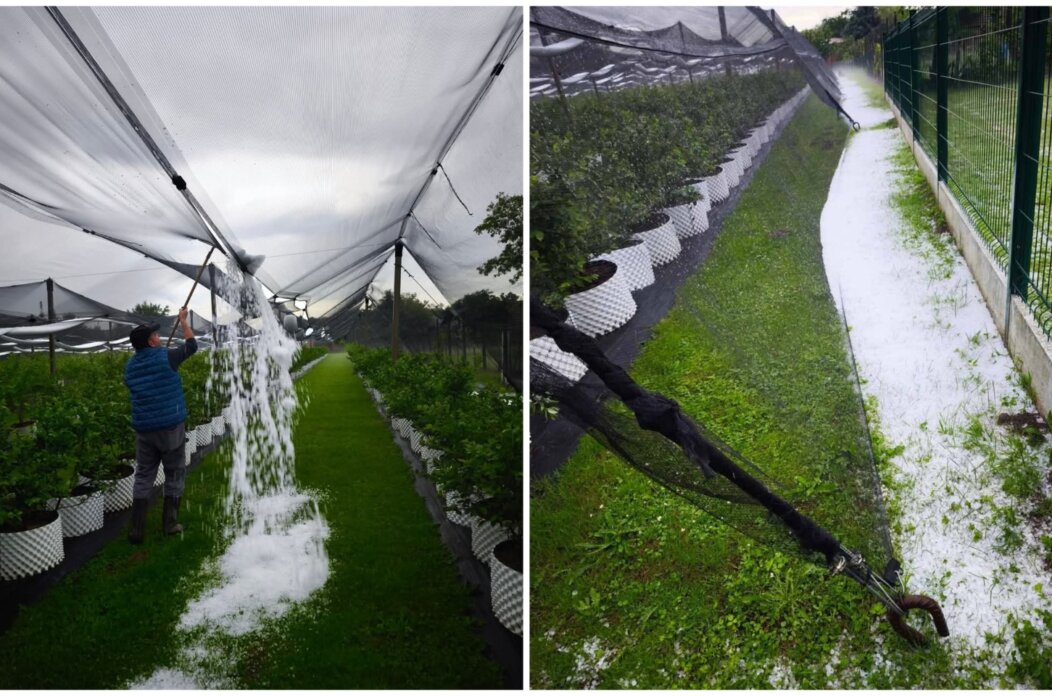 MixCollage-20-May-2025-08-12-PM-3752