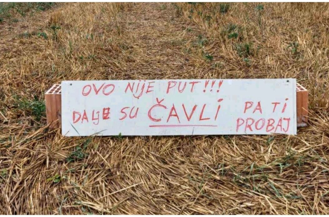 MixCollage-21-Aug-2025-11-50-AM-8406 MixCollage-21-Aug-2025-11-50-AM-8406