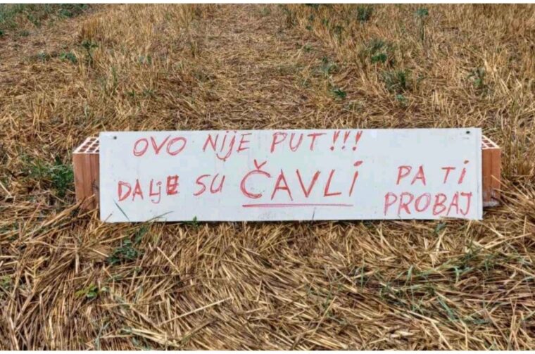 MixCollage-21-Aug-2025-11-50-AM-8406