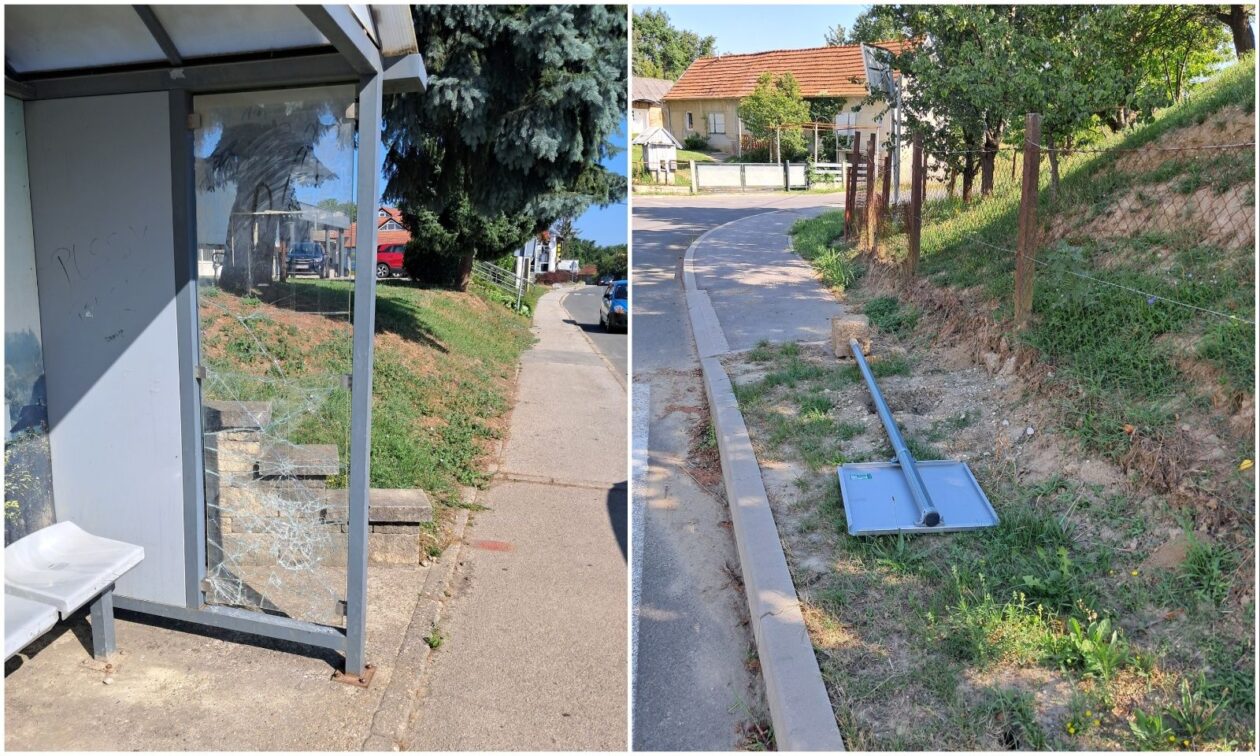 MixCollage-21-Jul-2025-10-24-AM-772