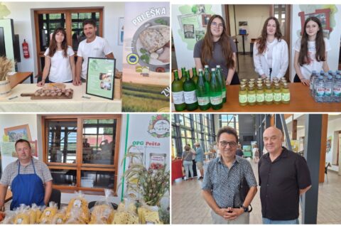 MixCollage-21-Jun-2025-11-57-AM-9213 MixCollage-21-Jun-2025-11-57-AM-9213