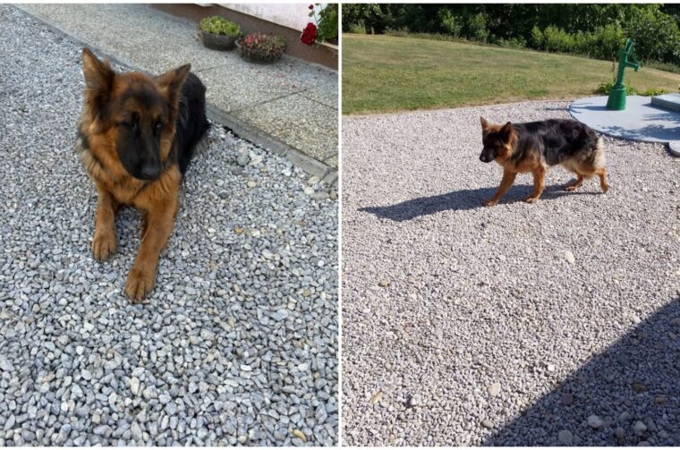 MixCollage-21-Jun-2025-12-40-PM-3820 MixCollage-21-Jun-2025-12-40-PM-3820