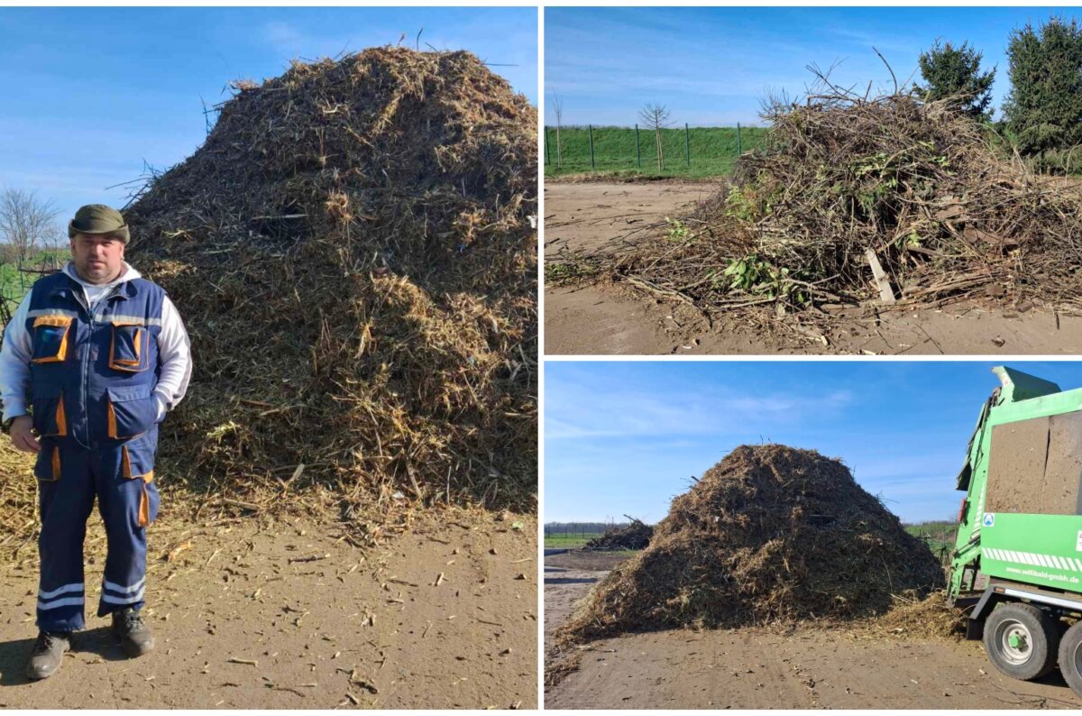 MixCollage-21-Mar-2025-03-25-PM-475