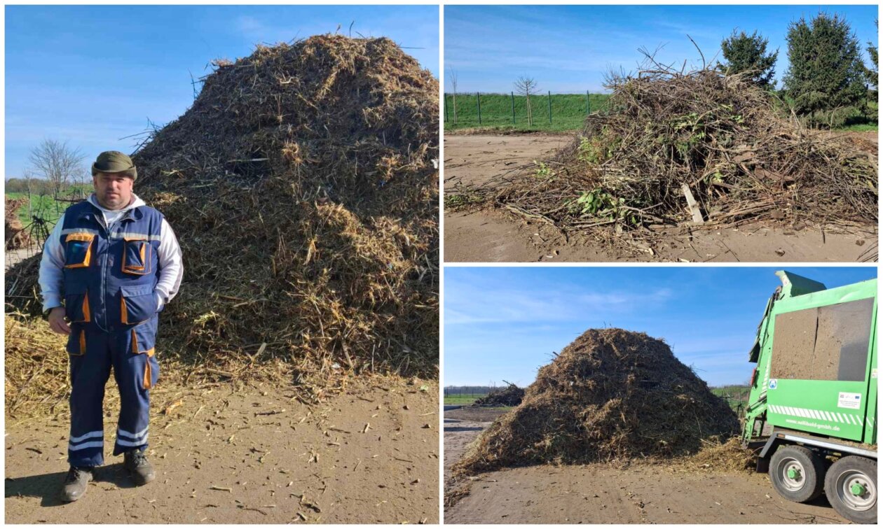 MixCollage-21-Mar-2025-03-25-PM-475