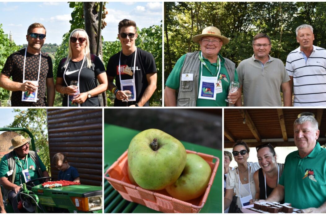 MixCollage-22-Aug-2025-06-46-PM-3304