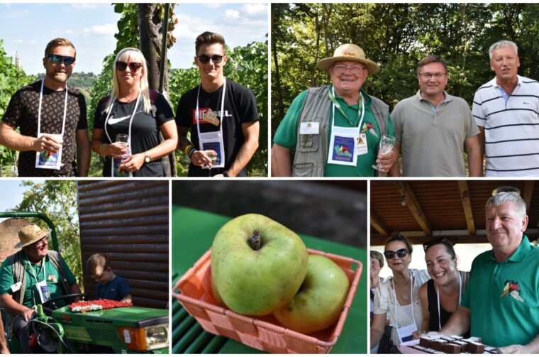 MixCollage-22-Aug-2025-06-46-PM-3304