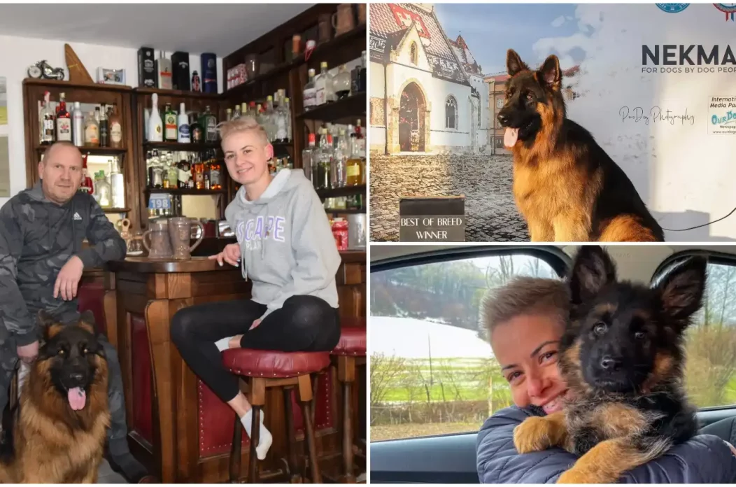 MixCollage-22-Jan-2025-03-17-PM-9109 MixCollage-22-Jan-2025-03-17-PM-9109