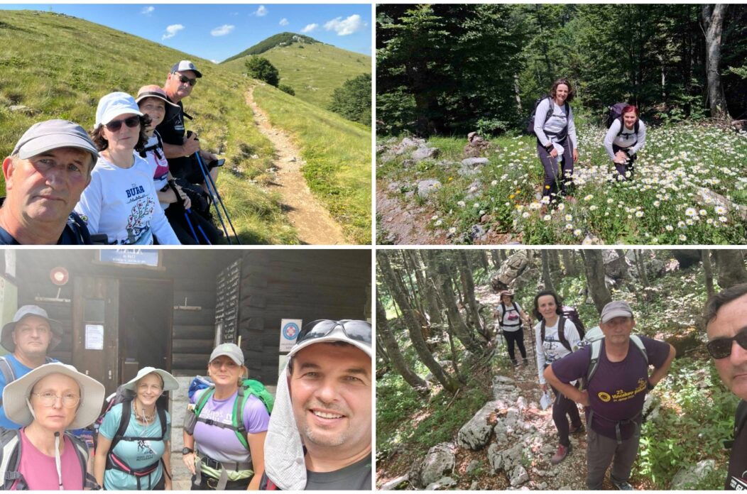 MixCollage-22-Jun-2025-05-40-PM-1173 MixCollage-22-Jun-2025-05-40-PM-1173