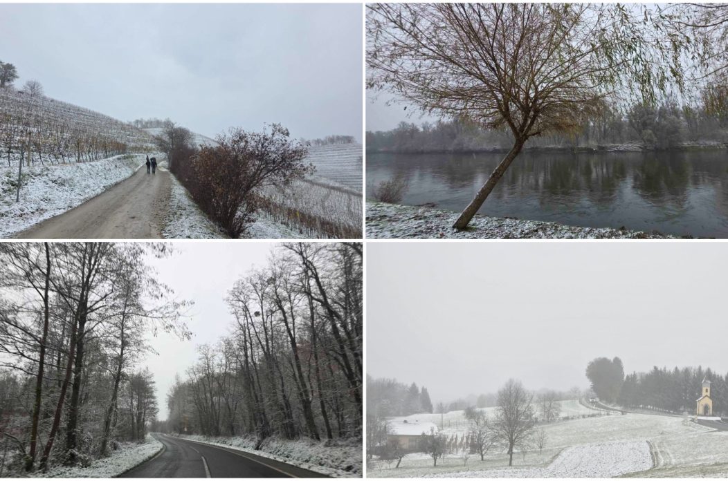 MixCollage-22-Nov-2025-03-24-PM-426