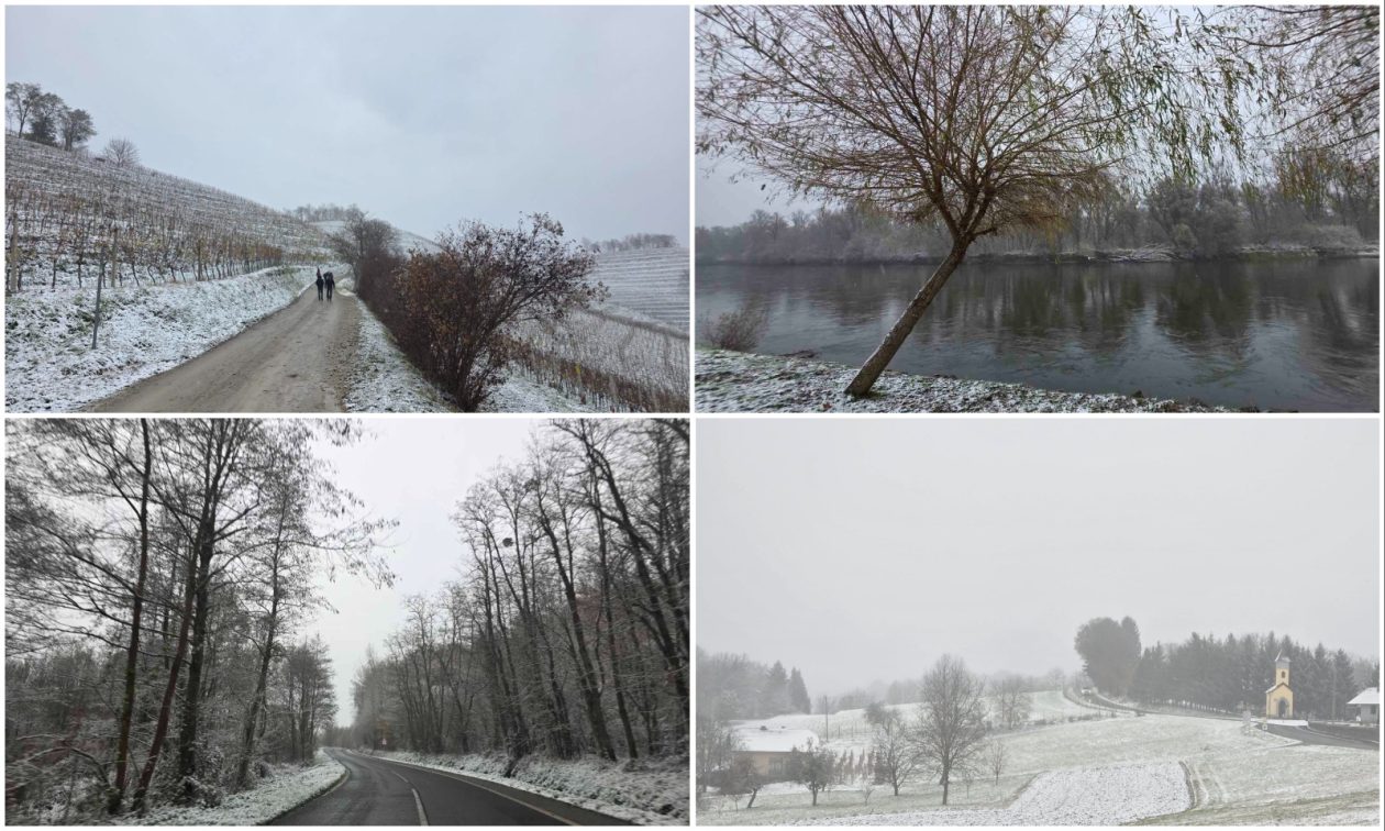 MixCollage-22-Nov-2025-03-24-PM-426