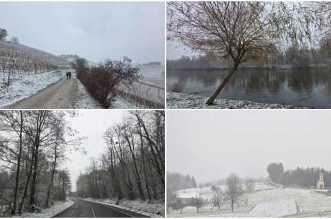 MixCollage-22-Nov-2025-03-24-PM-426